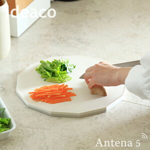 sS2Ftideaco JbeBO{[h13 Ag+ MTCYia30cmj ܂Ȕ yCfAR Lb` 䏊 fUCG  [  `bvv[g tB{ib` H H@ Cutt