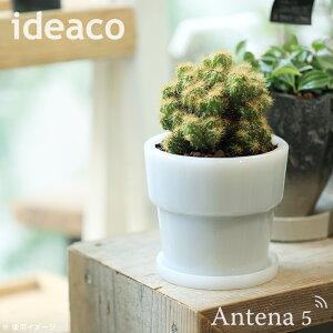 sS2Ftideaco ~NKXv^[|bg 3TCY Aؔ󂯎MZbg Milk Glass Planter Pot3@yCfAR fUCG A ϗtA Av^[ AJ_Ci[ ~bh