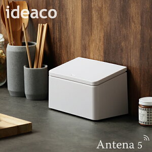 sS4Ftideaco `[u[ tbg N^O S~ yCfAR fUCG TUBELOR flat rectangle _Xg{bNX Lb`JE^[ W 䏊 pE_[[ ʏ CeA 