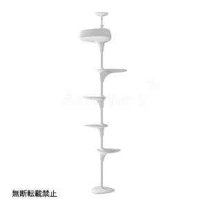 sS2FtOPPO LbgtHXg c[ Cat Forest-2yybgpi ybgObY Lbgc[ ˂ X ȃXy[X Lbg^[ L lR L^[ ^s ȒPg Ib|z