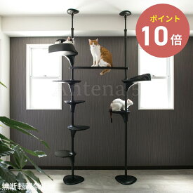 《全2色》OPPO キャットフォレスト ツー Cat Forest-2【ペット用品 ペットグッズ キャットツリー 突っ張り スリム 省スペース キャットタワー 猫 ネコ 猫タワー 運動不足 簡単組立 オッポ】◆