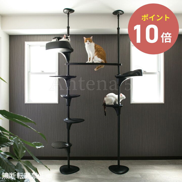 楽天市場】《全2色》OPPO キャットフォレスト ツー Cat Forest-2 