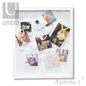 Umbra uc[ tHgfBXvC@yAu ʐ^ fUCG Mtg tHgX^h j  oY Ԃ xr[ z ʐ^X^h kz