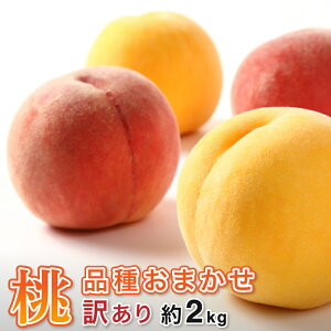 y\̔z ʎR`炨͂@󂠂i@E@i킨܂@2kgi5ʁ`9ʓj MO02-02
