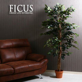 【送料込】 観葉植物 フェイク FICUS フィカス ゴムの木 A 170cm 大型 造花 インテリア 植物 フェイクグリーン 人工観葉植物 作り物 リアル 大きめ 大きい 本物そっくり おすすめ おしゃれ かわいい プレゼント 送料無料