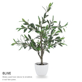 【送料込】 フェイクグリーン 人工観葉植物 H82 OLIVE オリーブ インテリア 造花 観葉植物 インテリアグリーン グリーン ギフト 目隠し 仕切り 開店祝い 新築祝い プレゼント 幅40 ポット おしゃれ 送料無料