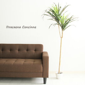 【送料込】 フェイクグリーン 人工観葉植物 H148 DRACAENA ドラセナ コンシンネ インテリア 大型 造花 観葉植物 インテリアグリーン グリーン ギフト アジアンテイスト 目隠し 仕切り 開店祝い 新築祝い プレゼント 幅80 ポット おしゃれ 送料無料