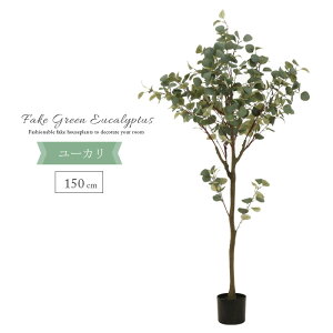 tFCNO[ [J 150cm ϗtA tFCN ^ CeA A  lHϗtA 傫 WCg  蕨 l炵 Mtg v[g JXj Vzj X 