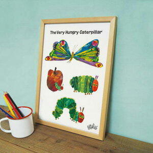 yz A[gpl GbNEJ[ Butterfly ͂؂ނ _  A[gt[ A[g|X^[  G z t[t |p CeA VR Ǌ| Q 