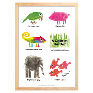 yz A[gpl Leo Lionni IEIj A Color of His Own Animals Ԃ񂾂̂ _  A[gt[ A[g|X^[  G z t[t |p CeA VR