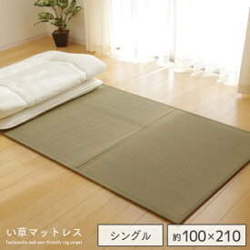 最初は 電球 剣 ござ 布団 Infocgil Org
