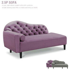 yz 2.5l|\t@ EI\t@ t@ubN\t@[ NbVt GKg FAB O[ p[v Vv _ 2.5l| lC 킢 X^CbV JWA Ce