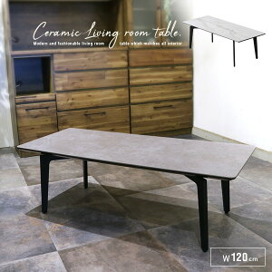 Z^[e[u 嗝Ε 嗝Ε Z~bN  zCg O[ 120 _  rOe[u [e[u 120cm RpNg X`[ ubNr ` Z~bNe[