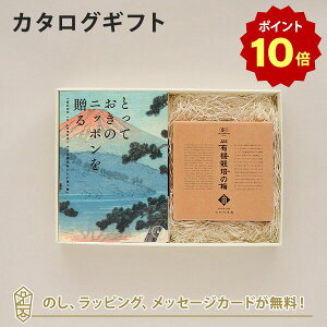 y|Cg10{zJ^OMtg ƂẴjb|𑡂 `()+L@JASF؍c̔~u~vyj oYj j o iwj  e킨Ԃɂ