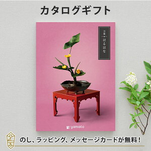 J^OMtg t͂͂ȁyTԂ u Au @v @̂Ԃɂ߂ȃMtgJ^Oz