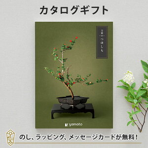 J^OMtg t䂵yTԂ u Au @v @̂Ԃɂ߂ȃMtgJ^Oz