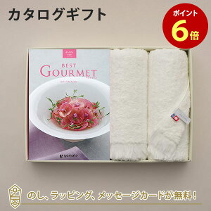 y|Cg6{zOJ^OMtg BEST GOURMET(xXgO)BG006 A[O{tFCX^IZbgyj oYj j iwj  e킨Ԃɂ