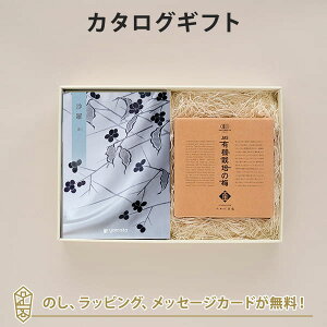 () J^OMtg(͂)+L@JASF؍c̔~u~v@J^O Mtg TԂ Au u T Ԃ @   e{   ԗ