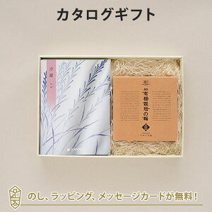 () J^OMtgӓ()+L@JASF؍c̔~u~v@J^O Mtg TԂ Au u T Ԃ @   e{   ԗ