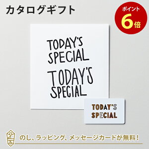 y|Cg6{zyJ^OMtg O zTODAY'S SPECIALigDfCYXyVj GIFT CATALOG WHITEizCgj ̂ bsO bZ[WJ[hbMtg   o