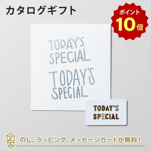 【ポイント10倍】【カタログギフト グルメ 送料無料】TODAY'S SPECIAL(トゥデイズスペシャル) GIFT CATALOG SILVER(シルバー) のし ラッピング メッセージカード無料|ギフト おしゃれ 結婚 引き