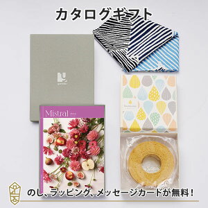 C~݁Mistral(~Xg) AjJ J^OMtg{oEN[wZbg