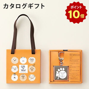 y|Cg10{zJ^OMtg Gift da WonIiMtg_jhunditgj ybgւ̂av[g 񂿂ւ̃v[g hbN  p   t[h