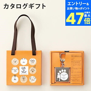 y|Cg6{zJ^OMtg Gift da WonIiMtg_jhunditgj ybgւ̂av[g 񂿂ւ̃v[g hbN  p   t[h