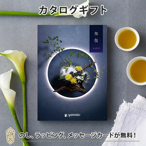 �J�^���O�M�t�g �a�h(�킯��)�b �̂� ���b�s���O ���A�󖳗��b���T�Ԃ� �����A�u �����u �����A�󖳗��쐬 �̂� �|���� ��� 10���~�J�^���O