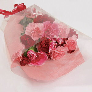 bXv[J[l[V(8{)y^{3850~{550~zbbZ[WJ[hΉ (× ̂× ^bZ[WJ[h)