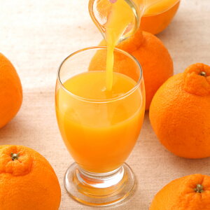 Ε j j c_ / fR|W[XiF{jiẐ̂ݑΉjbΕ j oYj j  Vzj Cj