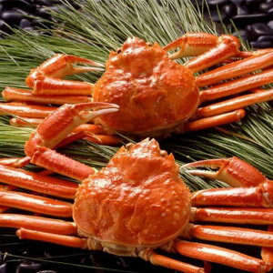 Ε j j {C킢Ɏp450g×2tiẐ̂ݑΉjbΕ j oYj j  Vzj Cj