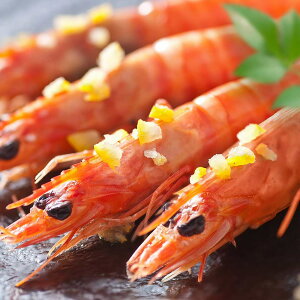 Ε j j J / 䂸 ԊCV𔔒Ёi啪jiẐ̂ݑΉjbΕ j oYj j  Vzj Cj