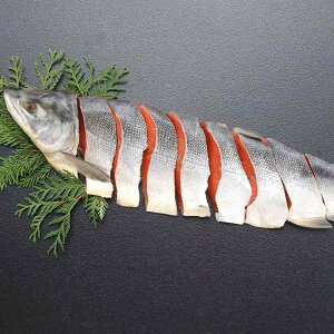 Ε j j kCY Vgؐgt̎qZbgiẐ̂ݑΉjbΕ j oYj j  Vzj Cj