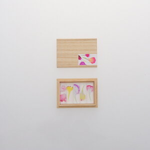 toumei / J[l[Vhashioki ؔ5ZbgbbZ[WJ[hΉ