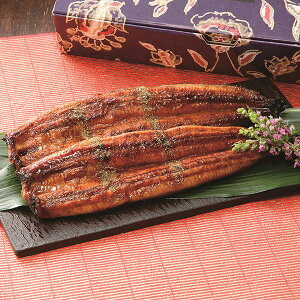 bVy / ȂĒ2y^{7560~{660~z (× ̂× ^bZ[WJ[h×)