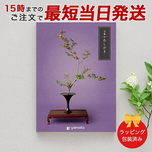 J^OMtg ()tyTԂ u Au @v @̂Ԃɂ߂ȃMtgJ^O  bsOς݁zb15܂ł̒łyΉ