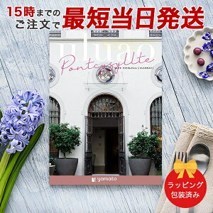 J^OMtg uluao(EAI) Pontcysyllte(|gJTXe)yj oYj j o e킨Ԃɂ߂ȃMtgJ^O  bsOς݁z b15