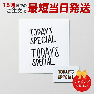 J^OMtg TODAY'S SPECIALigDfCYXyVj GIFT CATALOG WHITEizCgjy 15܂ł̒łyΉ z bj j oYj o Cj TԂ 