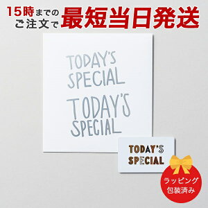 J^OMtg TODAY'S SPECIALigDfCYXyVj GIFT CATALOG SILVERiVo[jy 15܂ł̒łyΉ z bj j oYj o Cj TԂ 