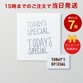 TODAY'S SPECIAL（トゥデイズスペシャル） GIFT CATALOG SILVER（シルバー）【カタログギフト 当日15時までの注文であす楽対応 送料無料】 ｜内祝い 結婚祝い 出産祝い 引き出物 カタログ ギフト 快気祝い 香典返し 内祝 引出物 お祝い お返し