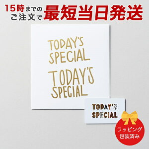 J^OMtg TODAY'S SPECIALigDfCYXyVj GIFT CATALOG GOLDiS[hjy 15܂ł̒łyΉ z bj j oYj o Cj TԂ 