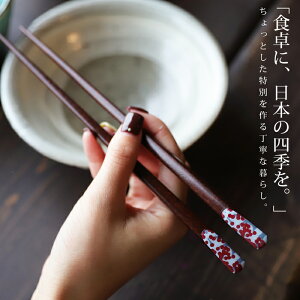 Jg[   ͗l  Ԗ͗l ԕ  O VEĔ́B(30)[։