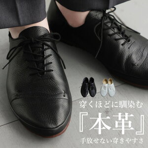 { {v [XAbvV[Y fB[X vC E[֕s