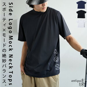 ANTIQUA GOLF×STCH gbvX Y E(100)[։yZz