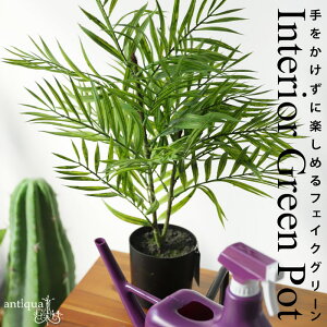 tFCNO[ ϗtA CeA |bg O[ AE[֕s