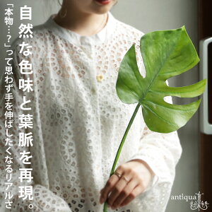 tFCNO[ Xe CeA O[ ϗtAE[֕s