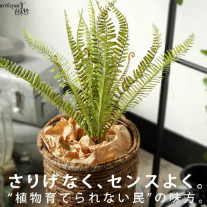 tFCNO[ ϗtA CeA  fBXvCE[֕s