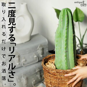 tFCNO[ T{e CeA  O[ E[֕s