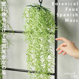 XpjbVX tFCNO[ ݂艺^ CeAE[֕s